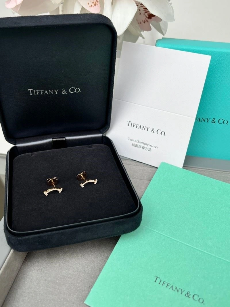 Tiffany Earrings Modern 252694
