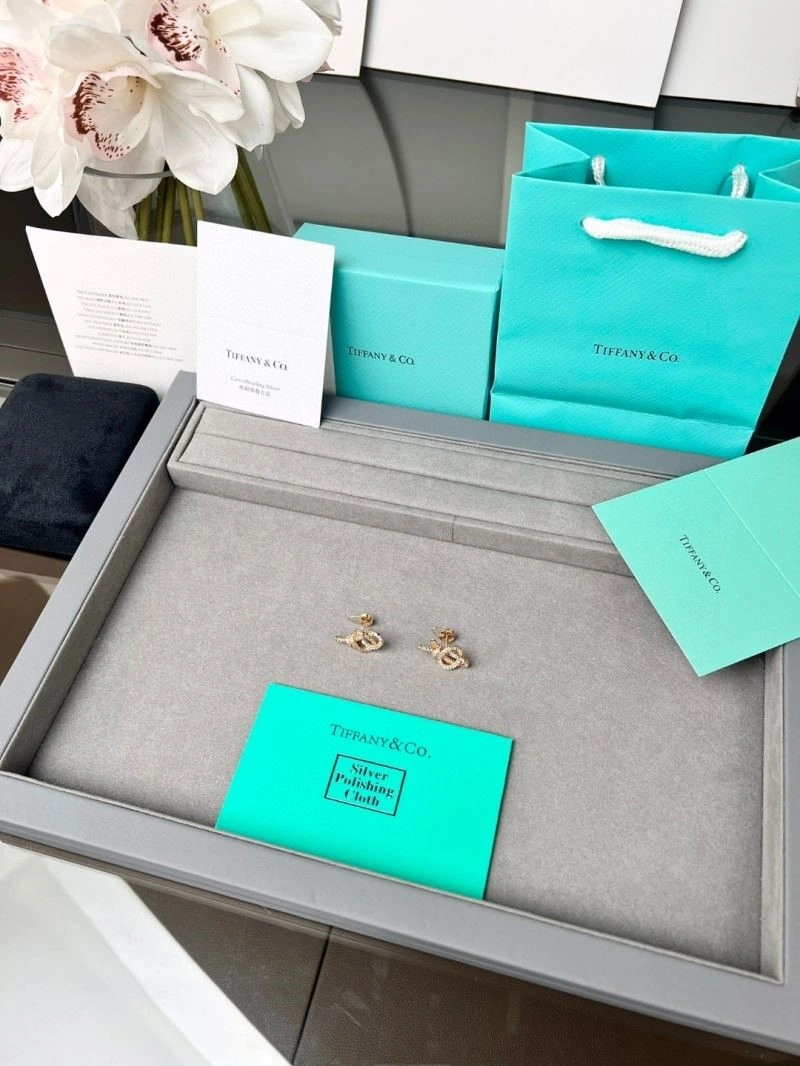 Tiffany Earrings Refined 252687