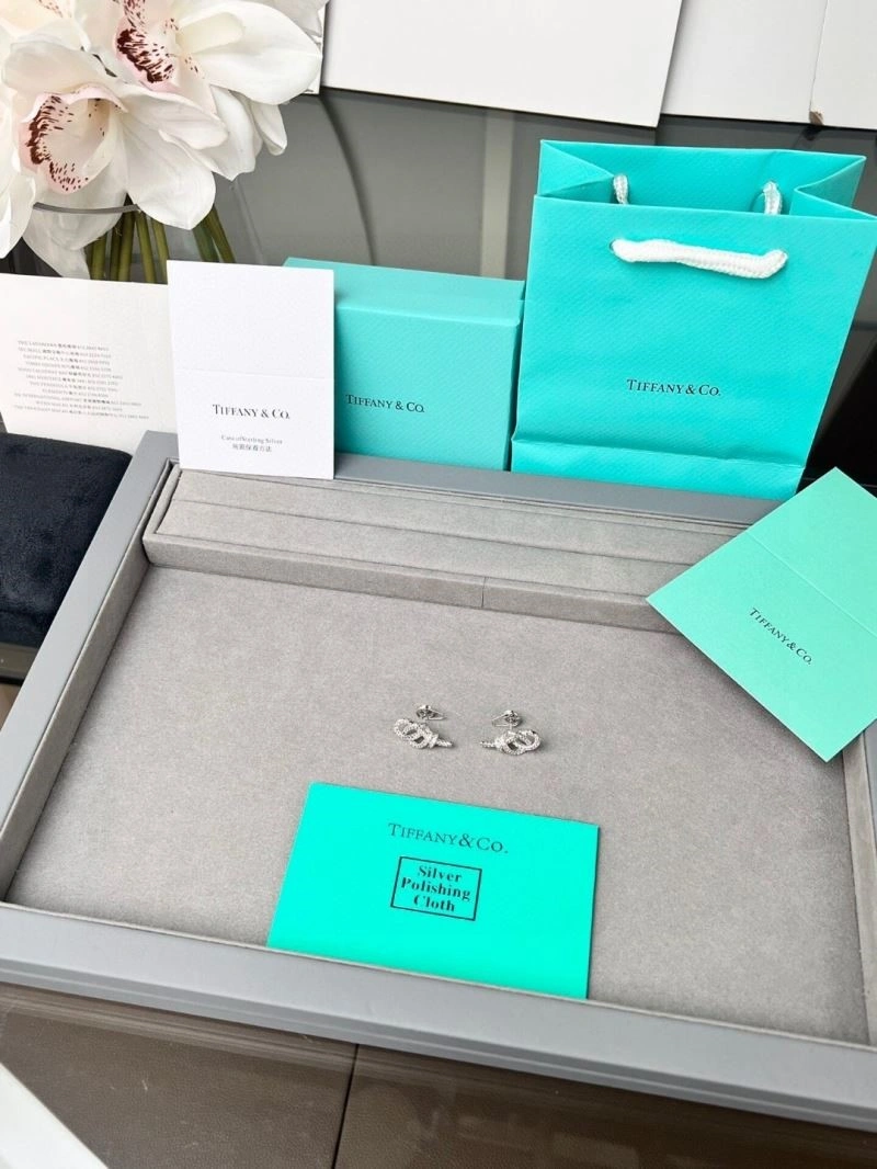 Tiffany Earrings Classic 252686