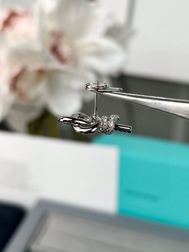 Tiffany Earrings Classic 252686
