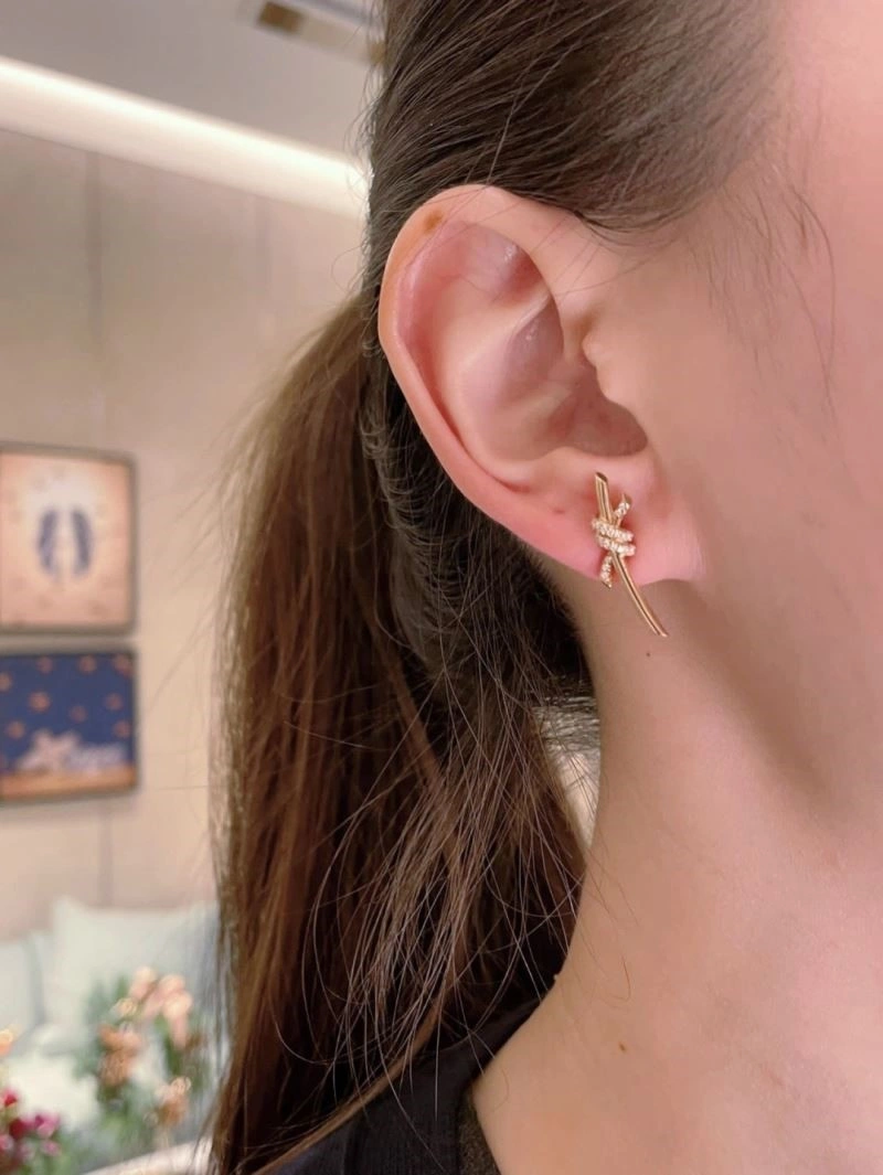 EasyCare Tiffany Earrings 252710