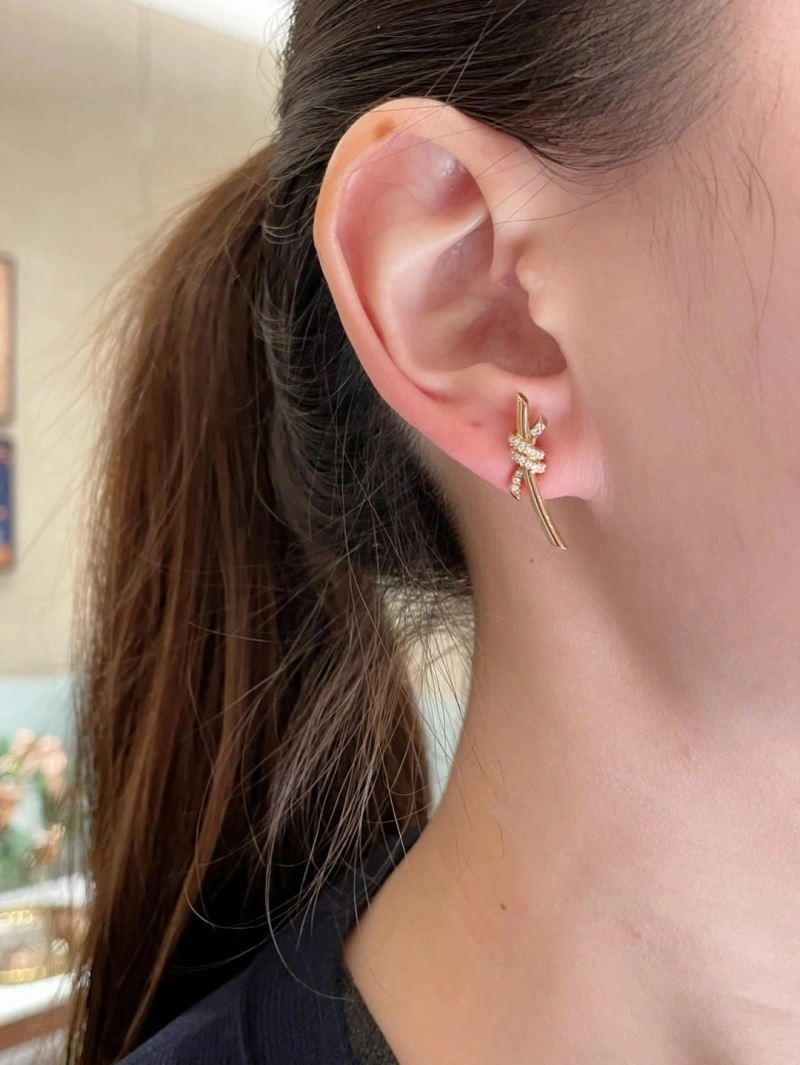 EasyCare Tiffany Earrings 252710