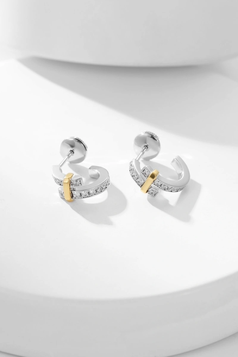 Youthful Tiffany Earrings 252373