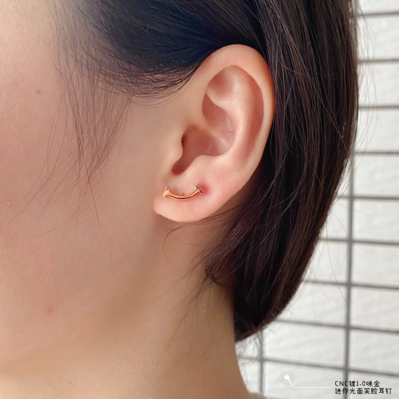 Tiffany Earrings WaterResistant 252348