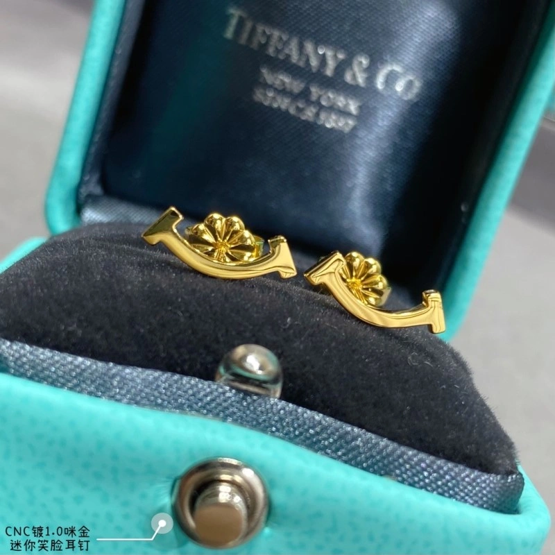 Tiffany Earrings WaterResistant 252348