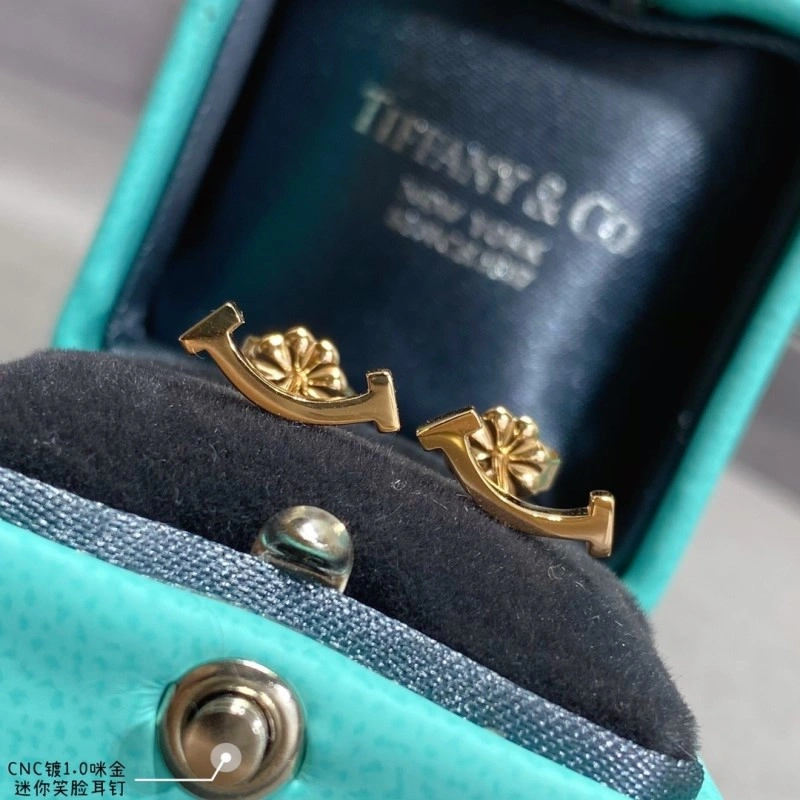 Tiffany Earrings WaterResistant 252348