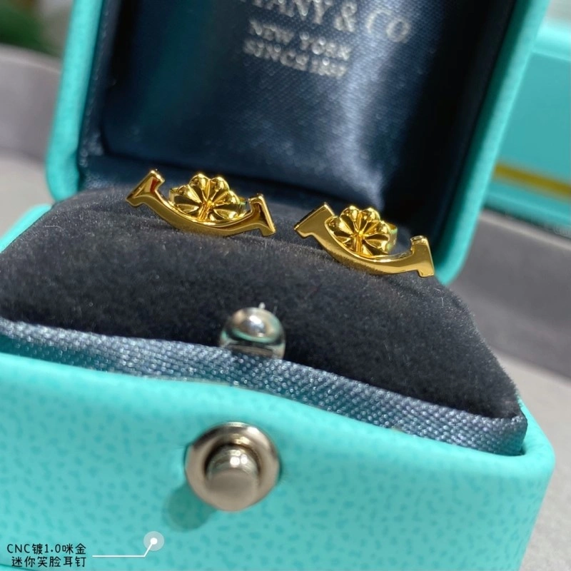 Tiffany Earrings WaterResistant 252348