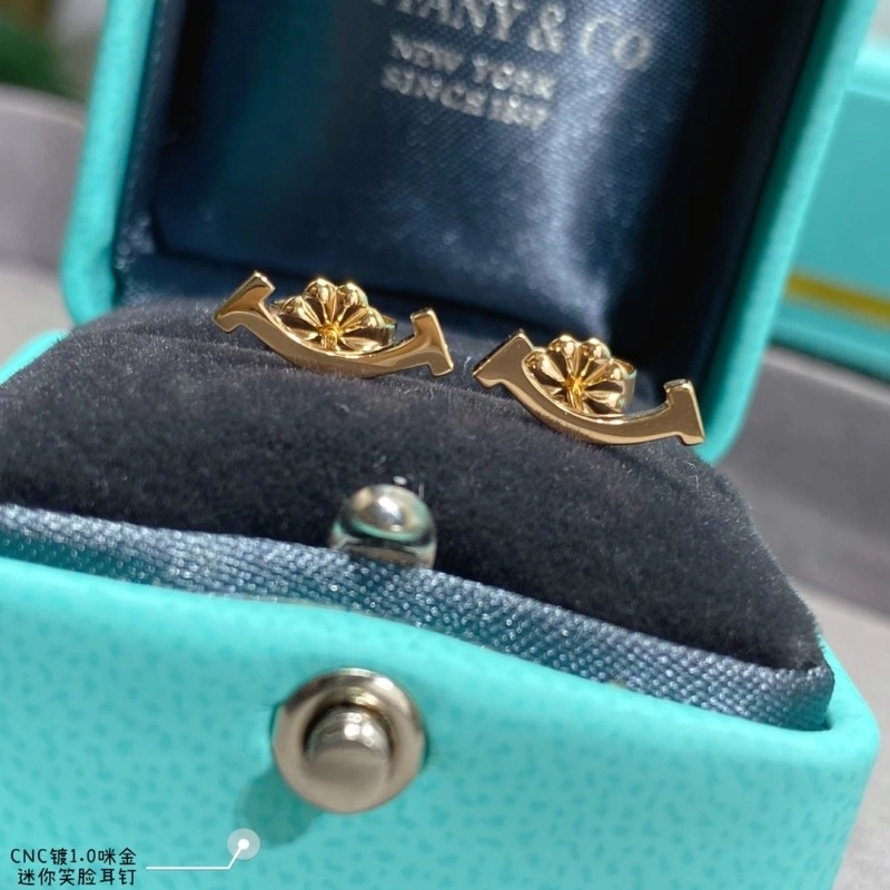 Tiffany Earrings WaterResistant 252348