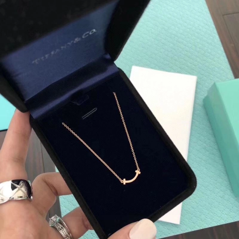 Tiffany Necklaces SunProtective 253962