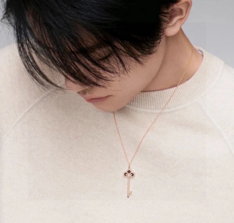 WellDesigned Tiffany Necklaces 253944