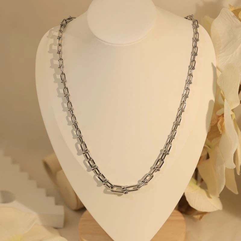 Tiffany Necklaces Sleek 253934