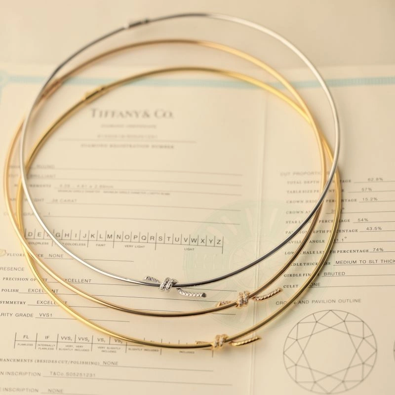 Tiffany Necklaces Soft 253927