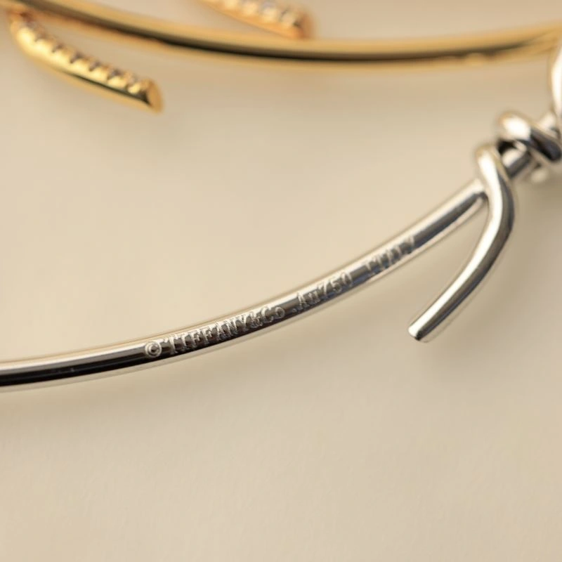 Tiffany Necklaces Soft 253927