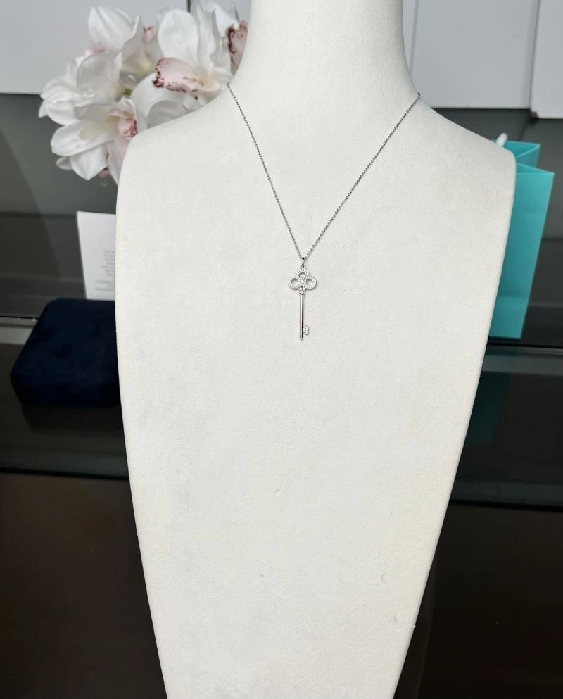 Tiffany Necklaces Affordable 253732