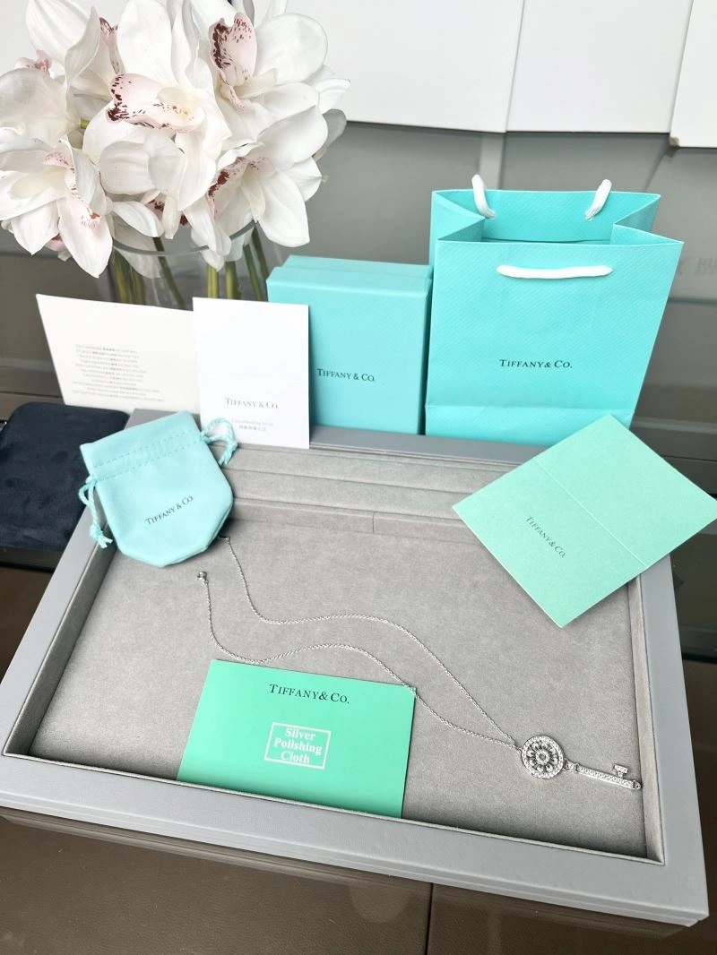 Minimalist Tiffany Necklaces 253731