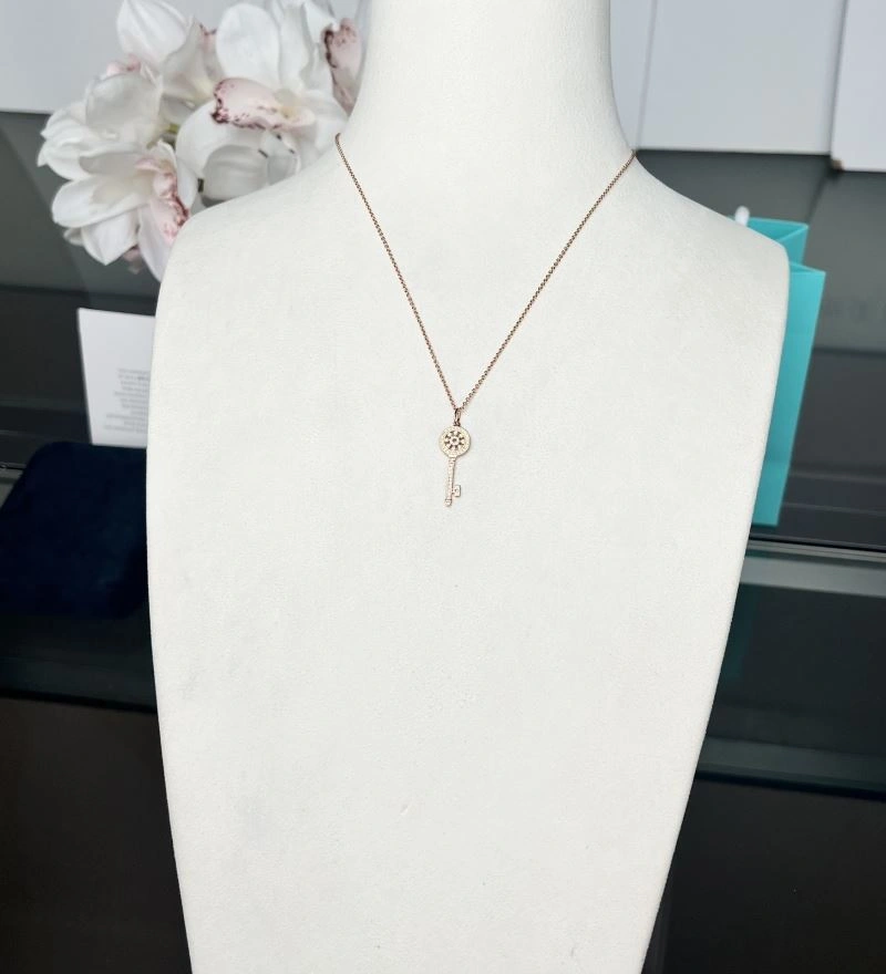 Tiffany Necklaces EasyCare 253722