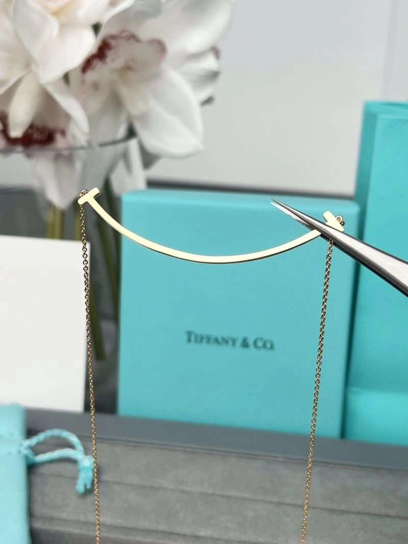 Tiffany Necklaces Casual 253590