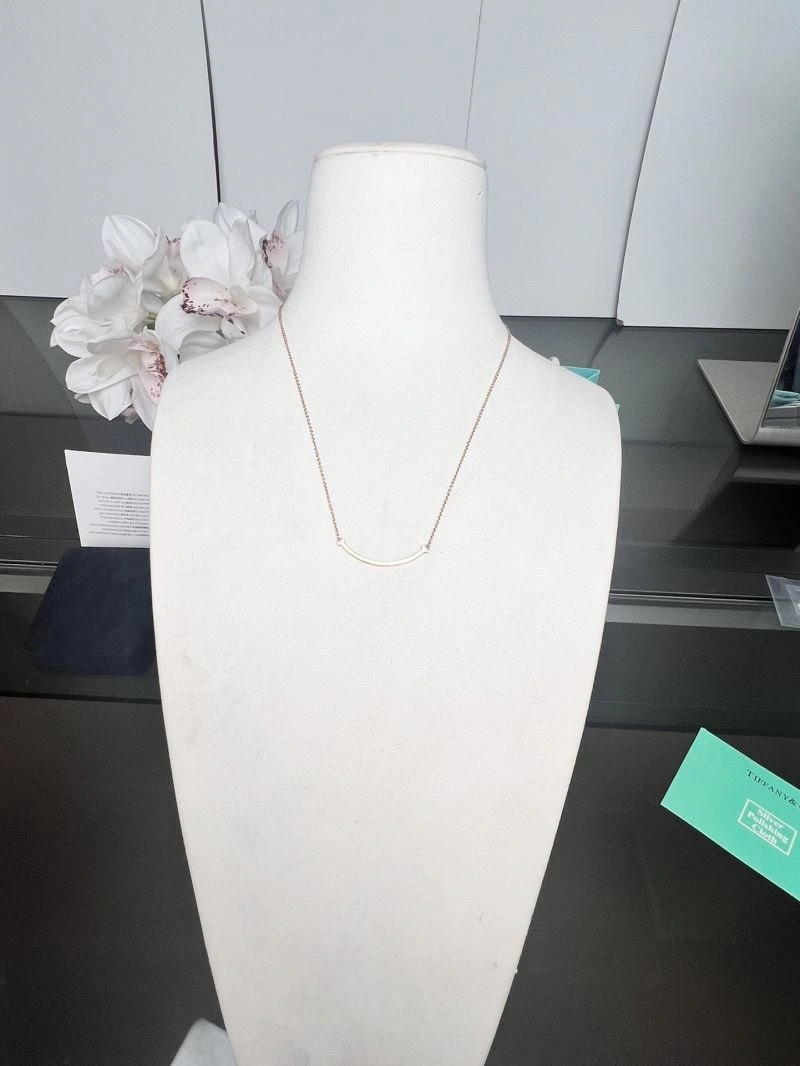 Tiffany Necklaces FastDry 253582