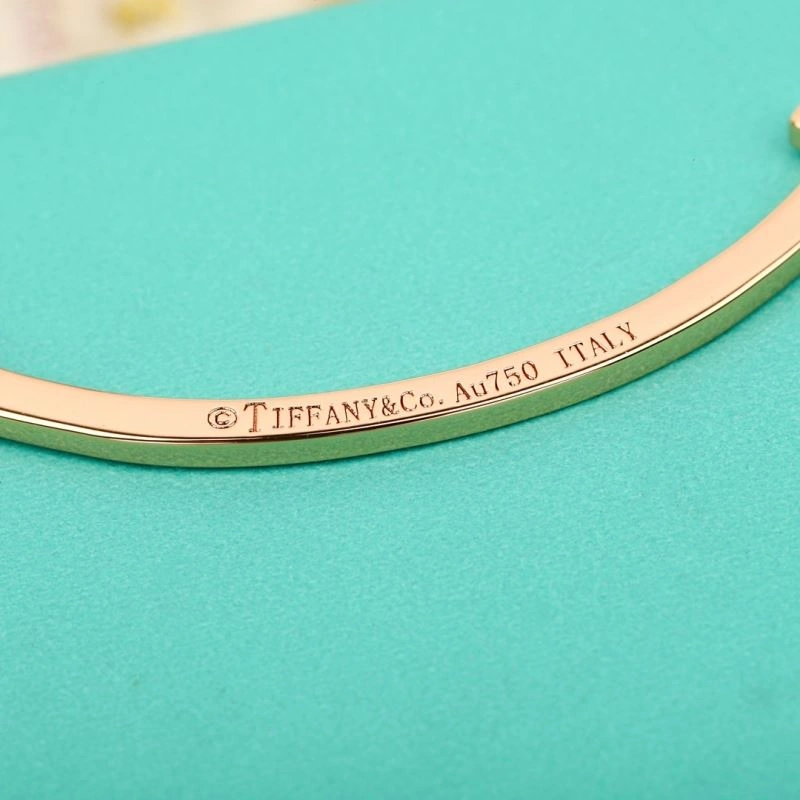Tiffany Necklaces Trendsetting 253495