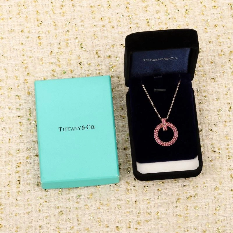 Tiffany Necklaces Functional 253479