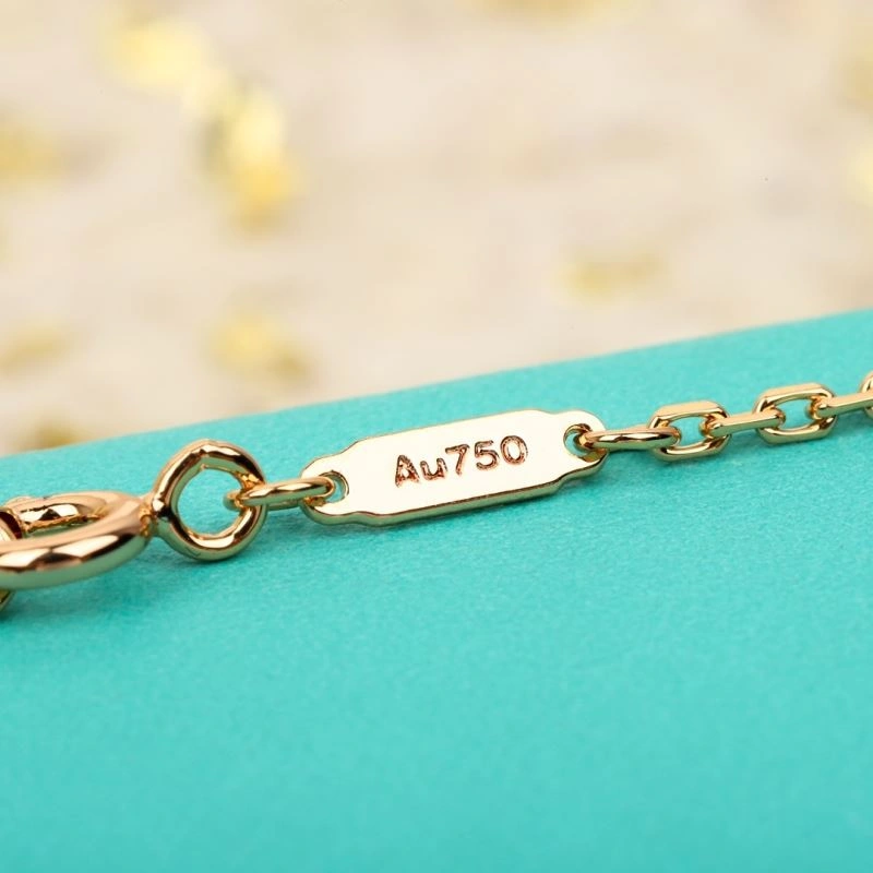 Tiffany Necklaces Functional 253479