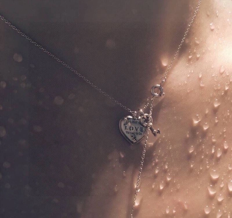 Tiffany Necklaces QuickDry 253473