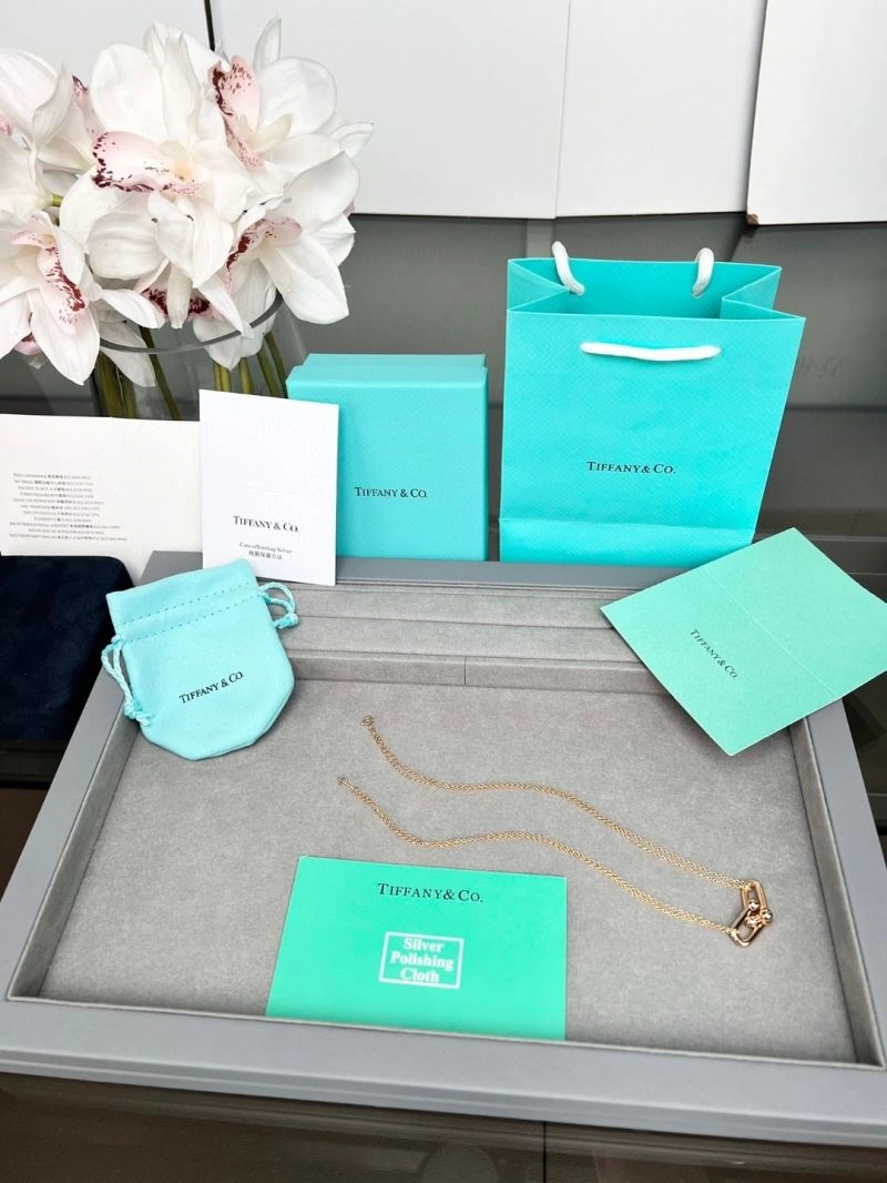 Tiffany Necklaces BestValue 253365