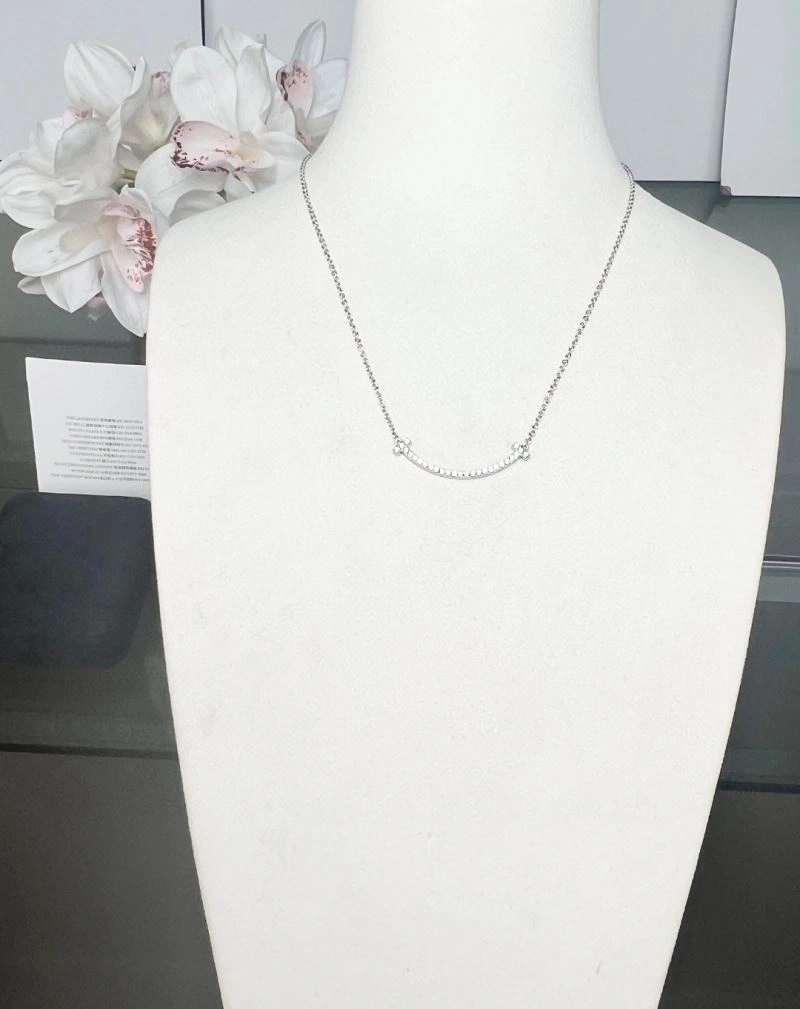 Sleek Tiffany Necklaces 253344