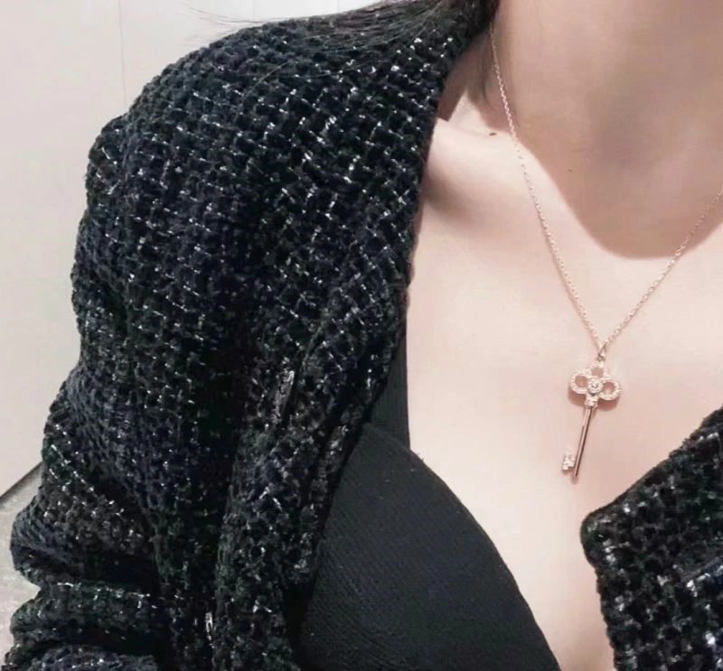 Chic Tiffany Necklaces 253107