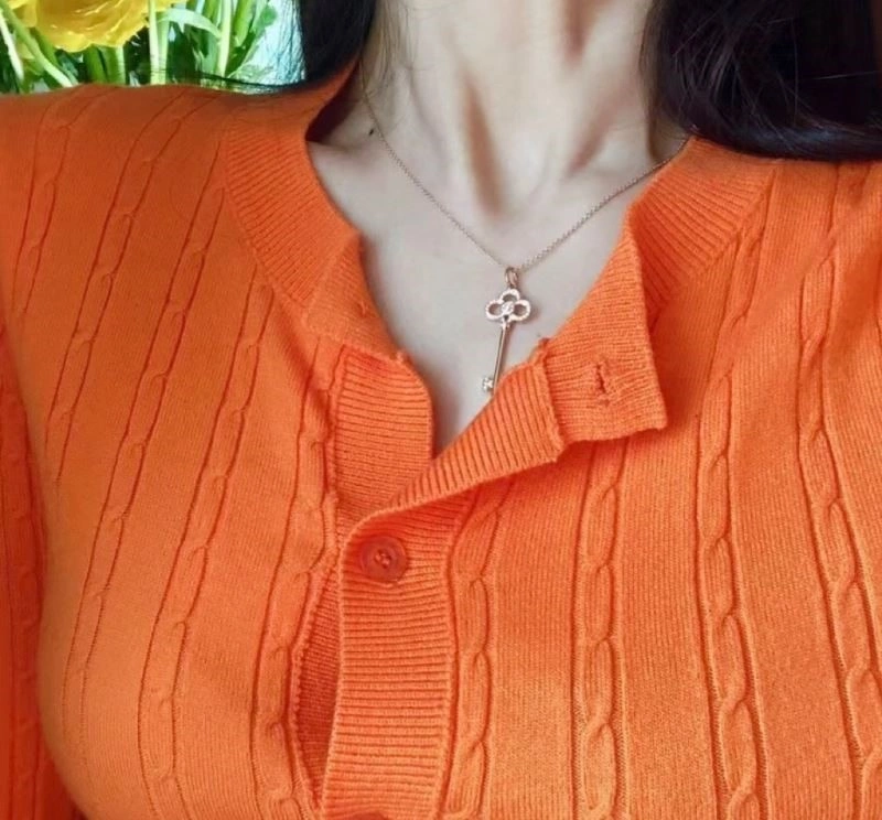 Chic Tiffany Necklaces 253107