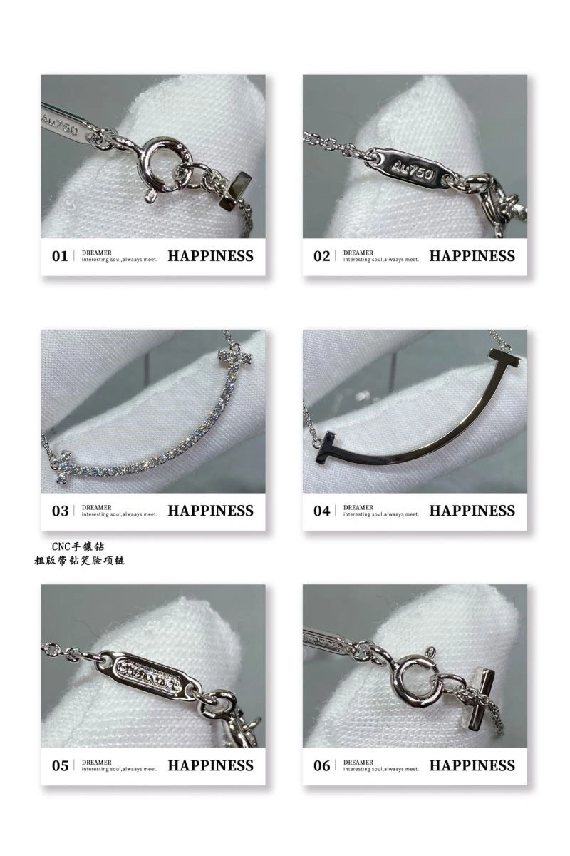 Tiffany Necklaces EasyMatch 253058