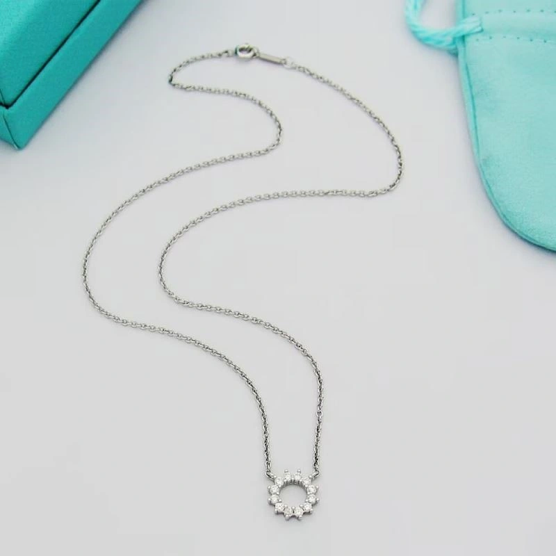 Tiffany Necklaces HighPerformance 253043
