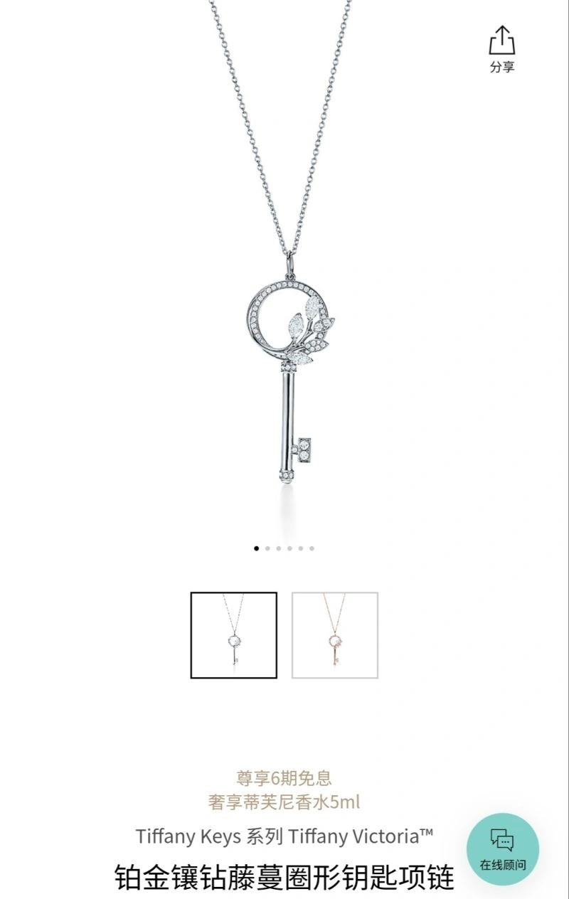 Resilient Tiffany Necklaces 253014
