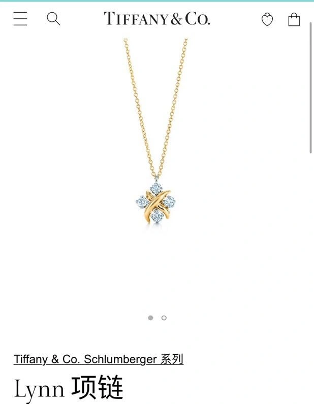 Tiffany Necklaces Supportive 253034