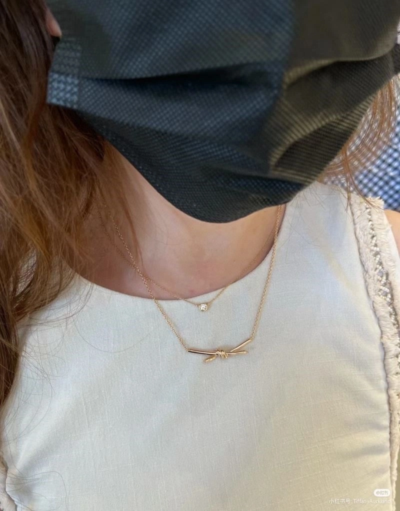 Premium Tiffany Necklaces 253017