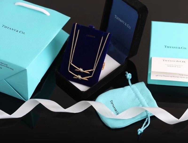 Premium Tiffany Necklaces 253017