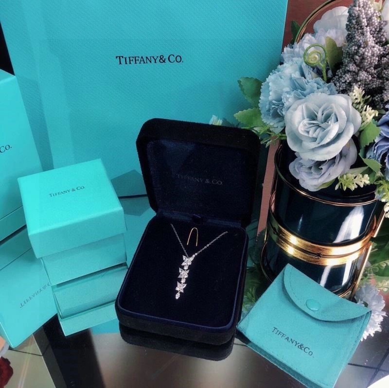 Sporty Tiffany Necklaces 252985