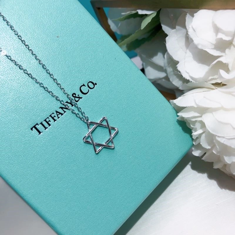 Tiffany Necklaces Compact 252989