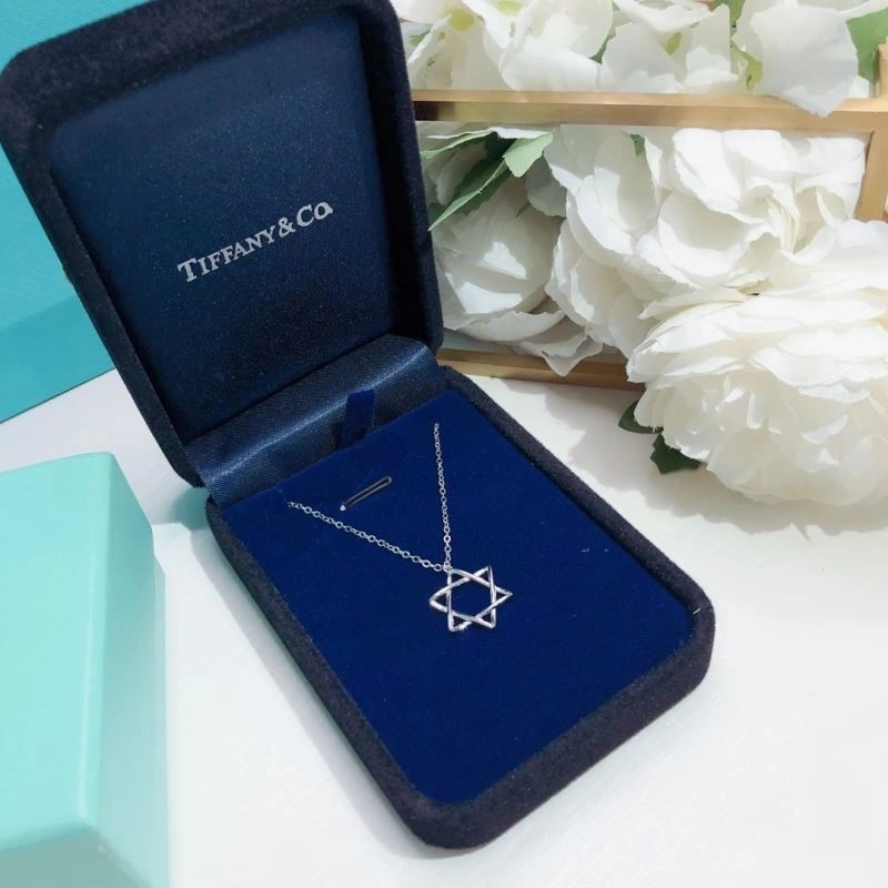 Tiffany Necklaces Compact 252989