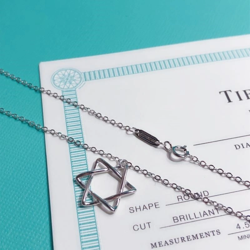 Tiffany Necklaces Compact 252989