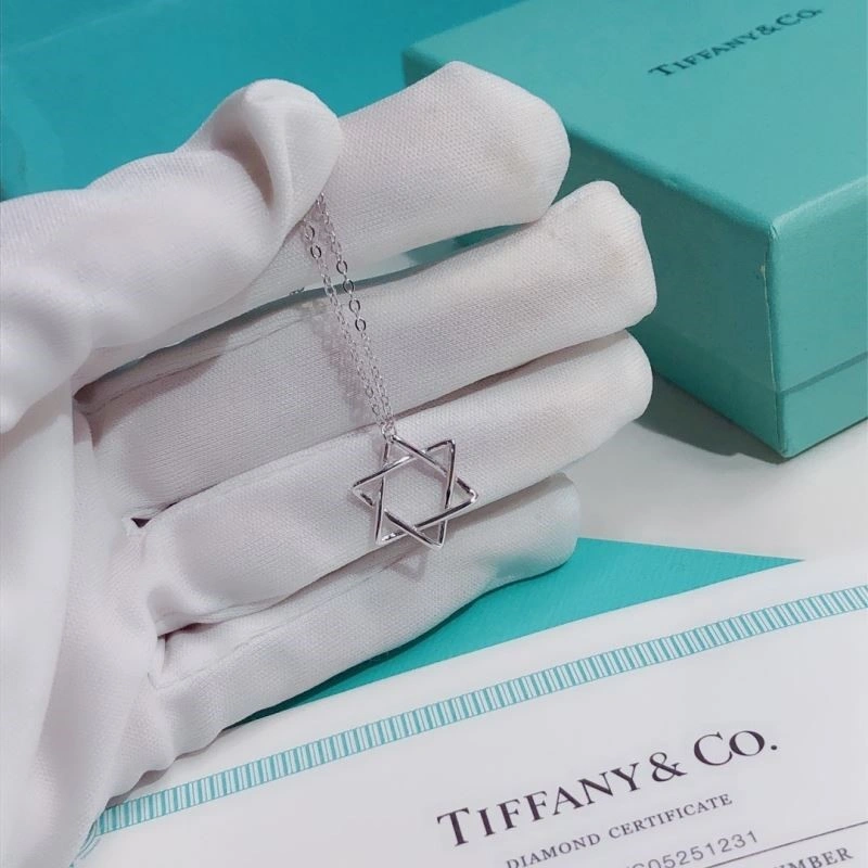 Tiffany Necklaces Compact 252989