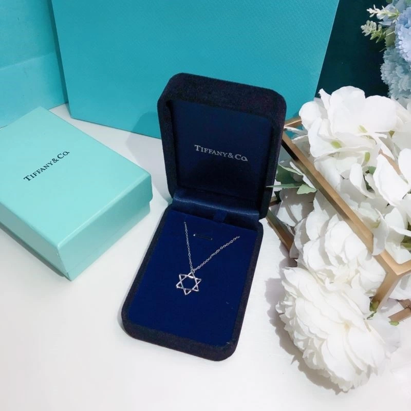 Tiffany Necklaces Compact 252989