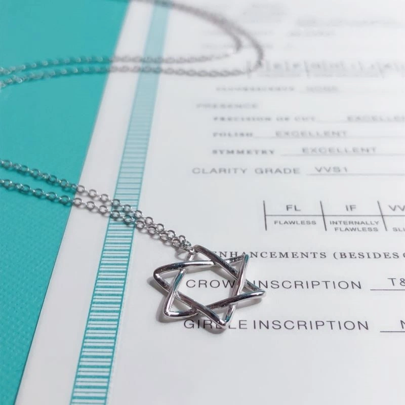 Tiffany Necklaces Compact 252989