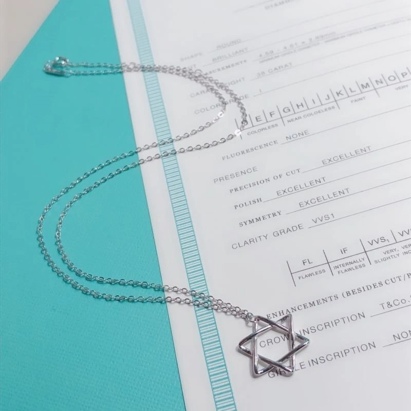 Tiffany Necklaces Compact 252989