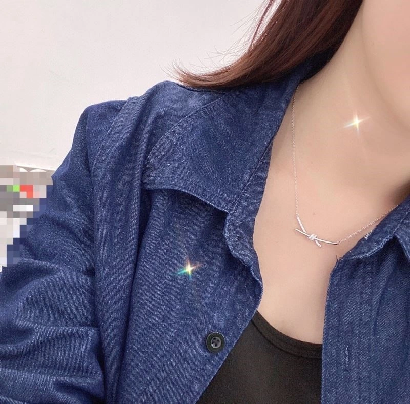 Stylish Tiffany Necklaces 252996