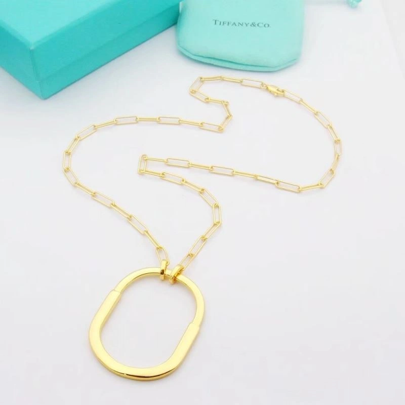 Tiffany Necklaces Neat 252987