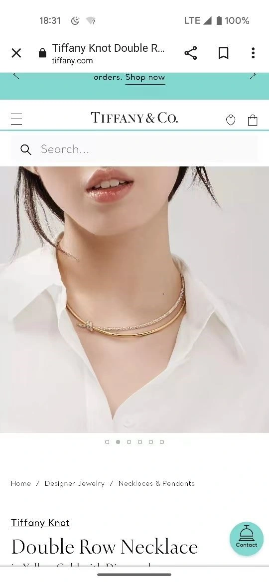 Tiffany Necklaces Flexible 252988