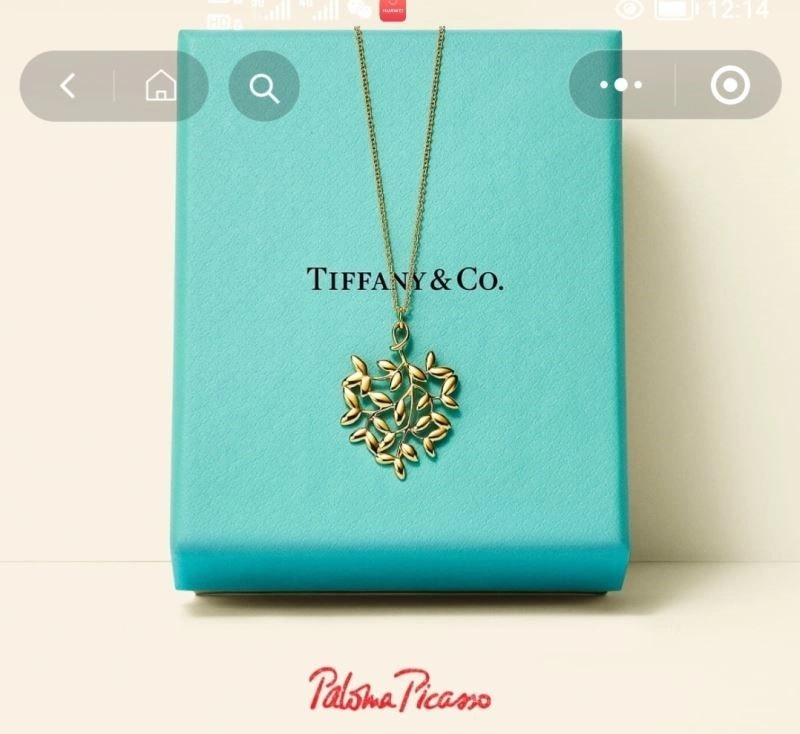 Stylish Tiffany Necklaces 252957