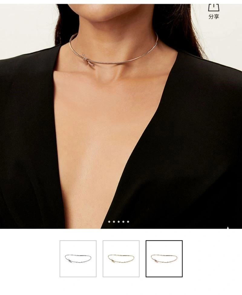 Affordable Tiffany Necklaces 252958