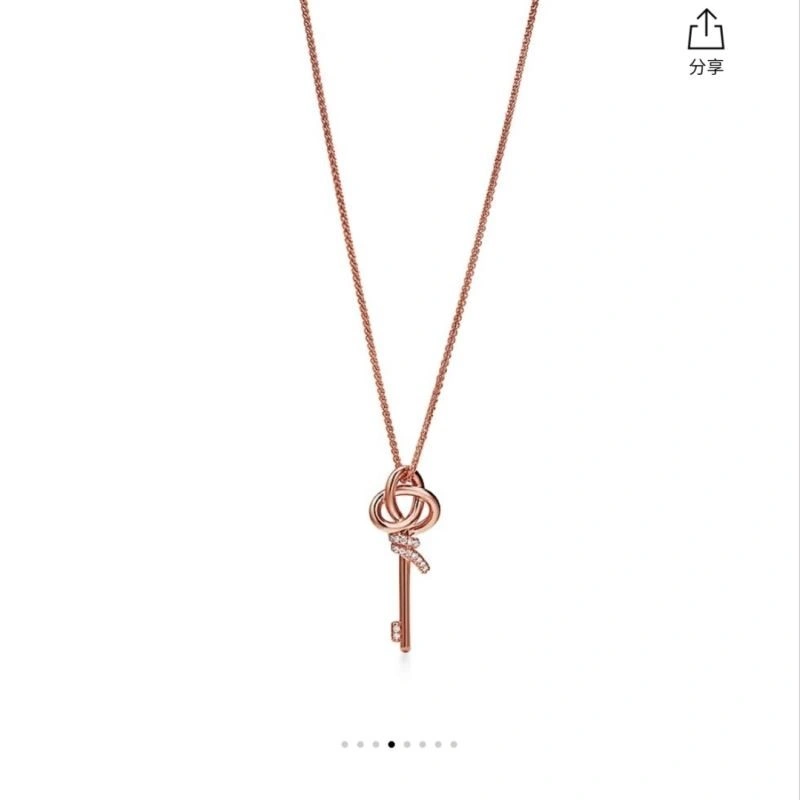 Tiffany Necklaces SunProtective 252954